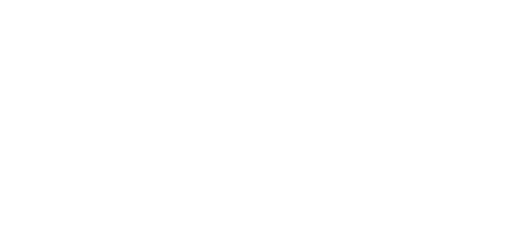 شعار شريك روائد الحلول